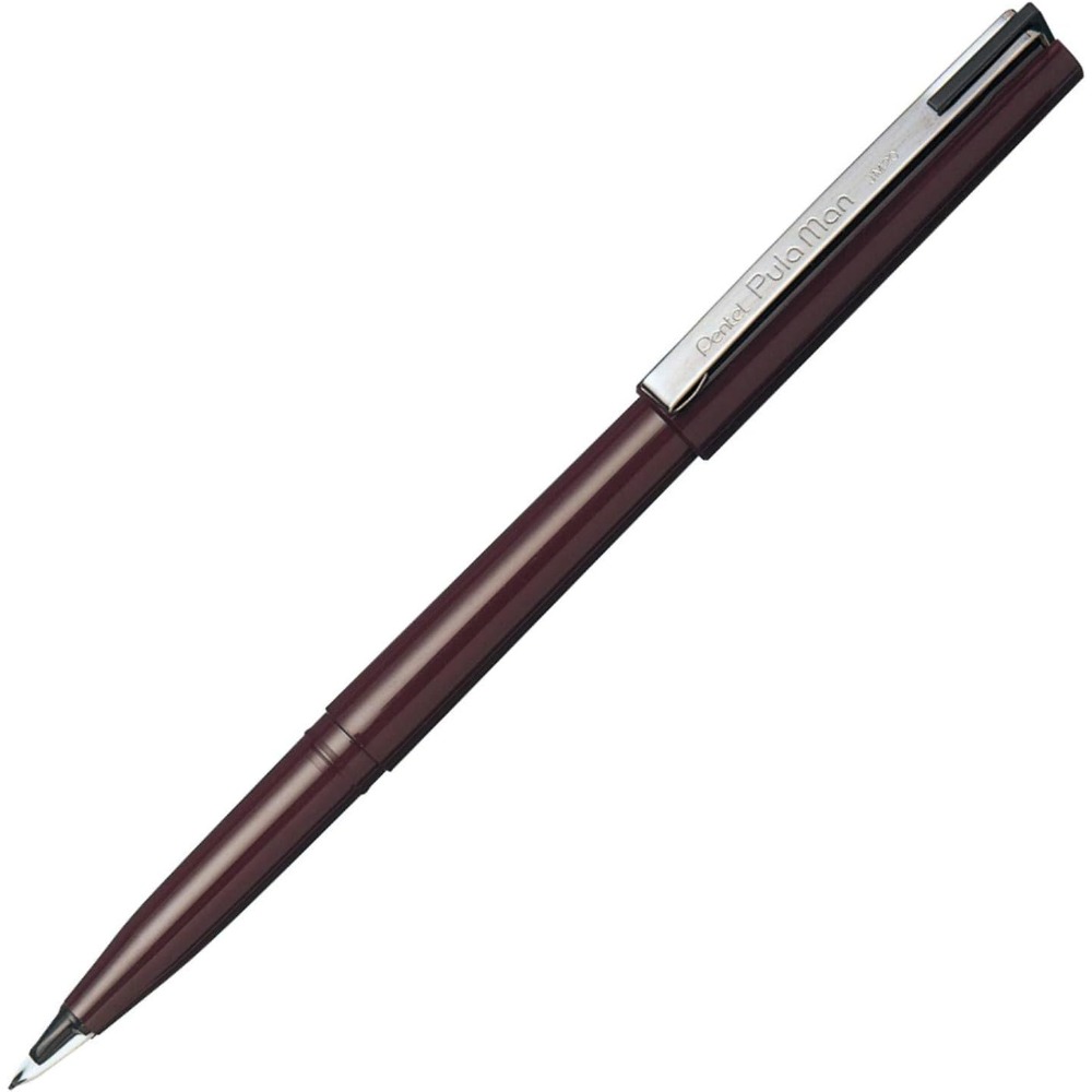 1 penna Pentel Pulaman MJ20 pe - Pentel Pen Sign Pen recensione e prezzo