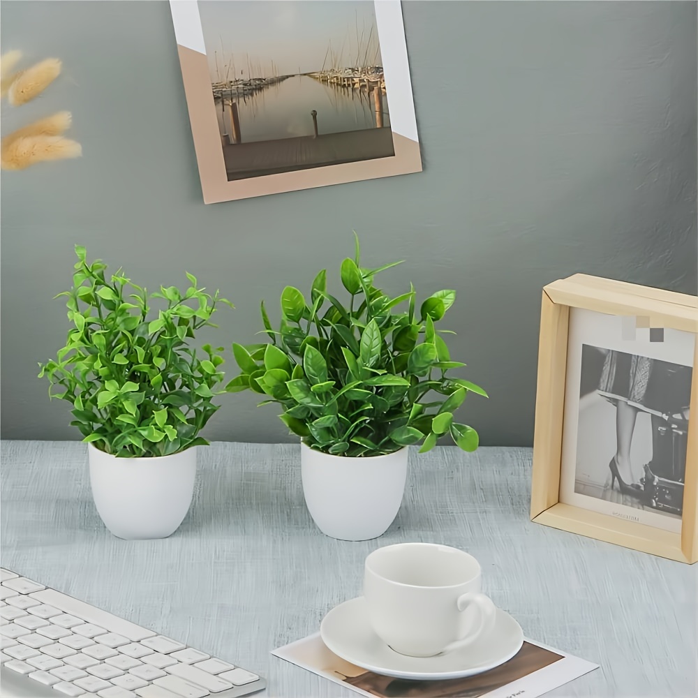 1/4/6 pezzi di piccole piante  - Home Office Layout recensione e prezzo