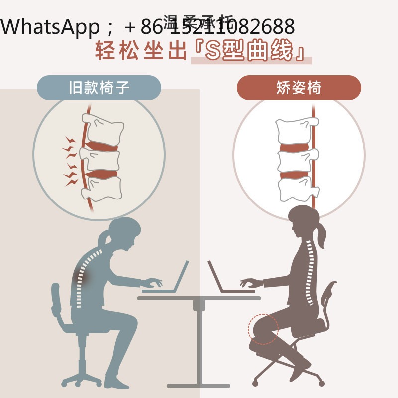 Sedia da ufficio LLY, sedia er - Ergonomic Office Chair recensione e prezzo