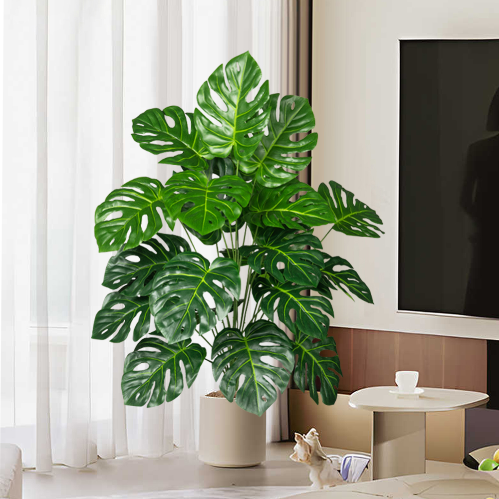 70-100 cm Albero Monstera arti - Home Office Layout recensione e prezzo