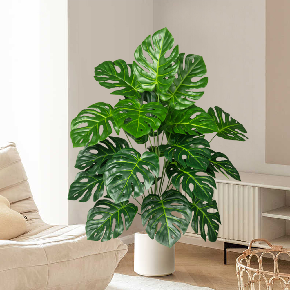 70-100 cm Albero Monstera arti - Home Office Layout recensione e prezzo